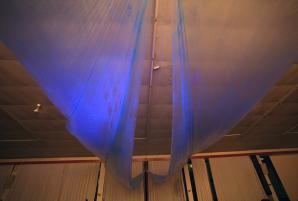 IMG_9092