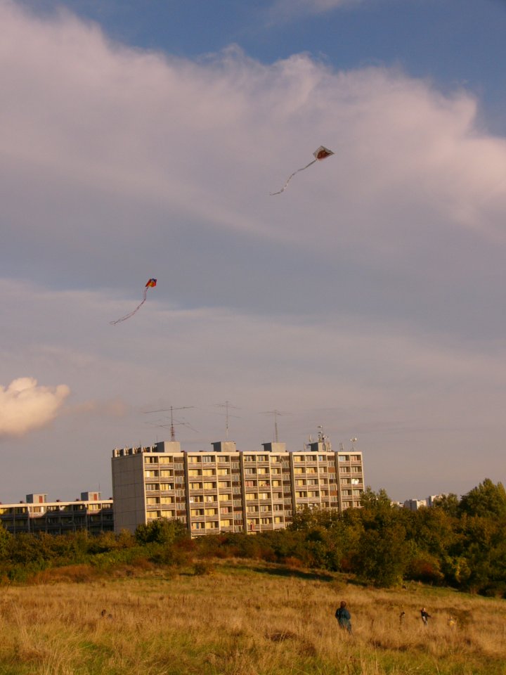 P1020056