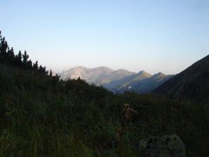 DSC07640