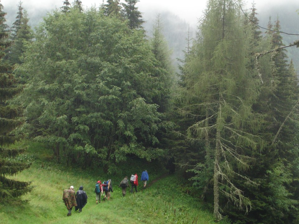 DSC07750